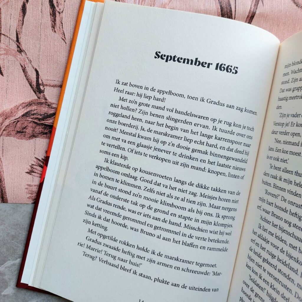 ik zal je vinden Ria Lazoe 1665