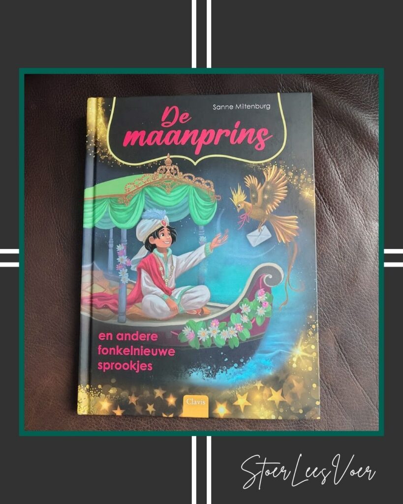 Kader De maanprins voorkant cover omslag kaft sprookjesboek