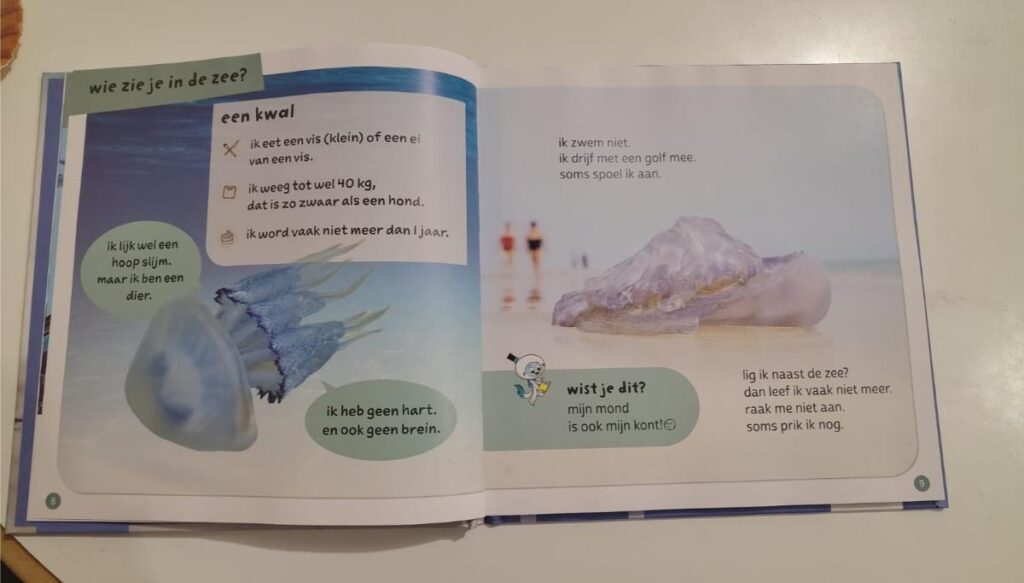 Informatieve tekstjes