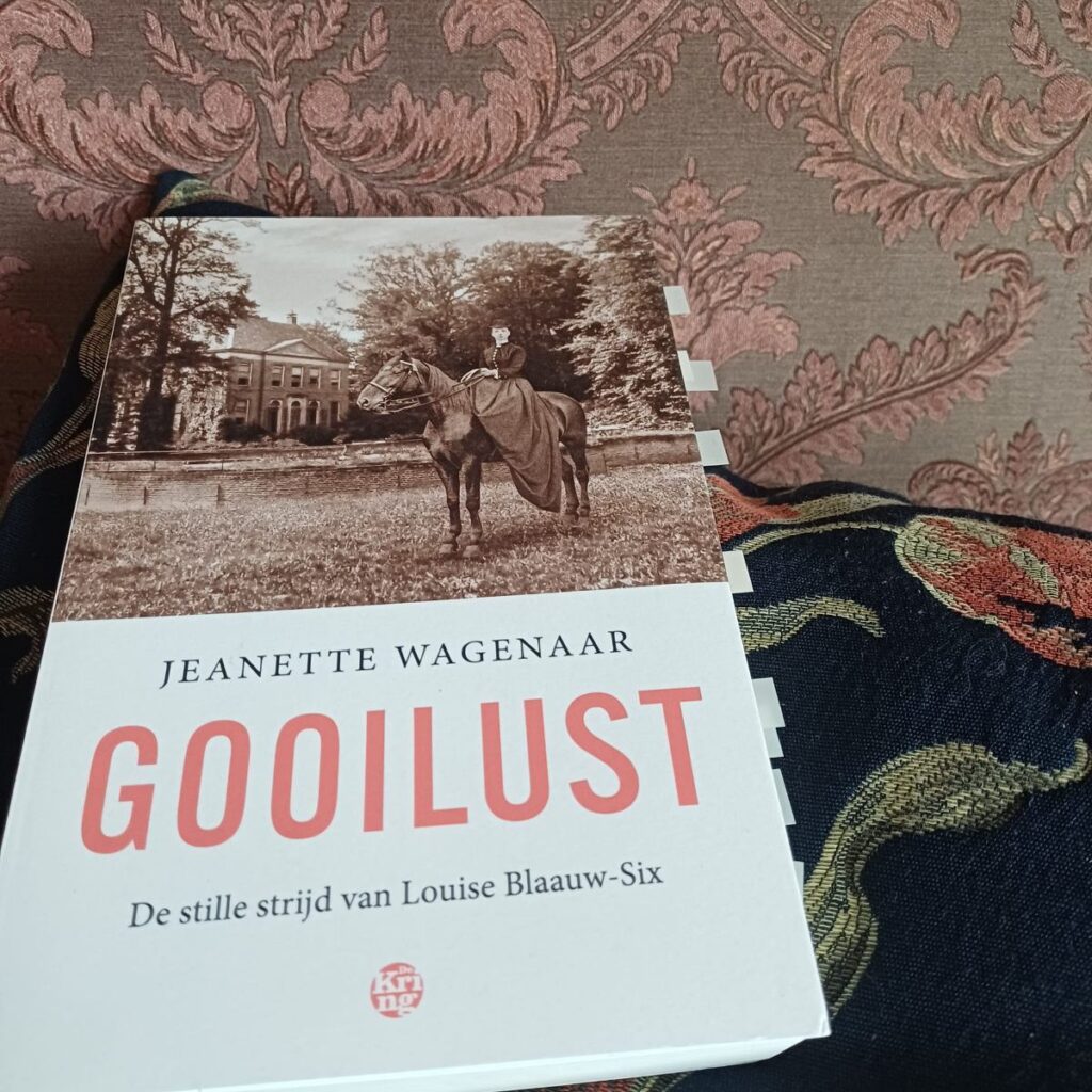 Historische roman 'Gooilust' van Jeanette Wagenaar voorkant cover omslag kaft