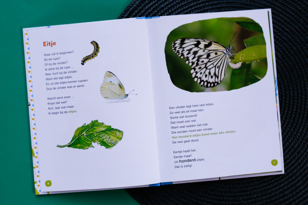 bladspiegel met korte tekst in avi M4 en illustraties en stockfoto's