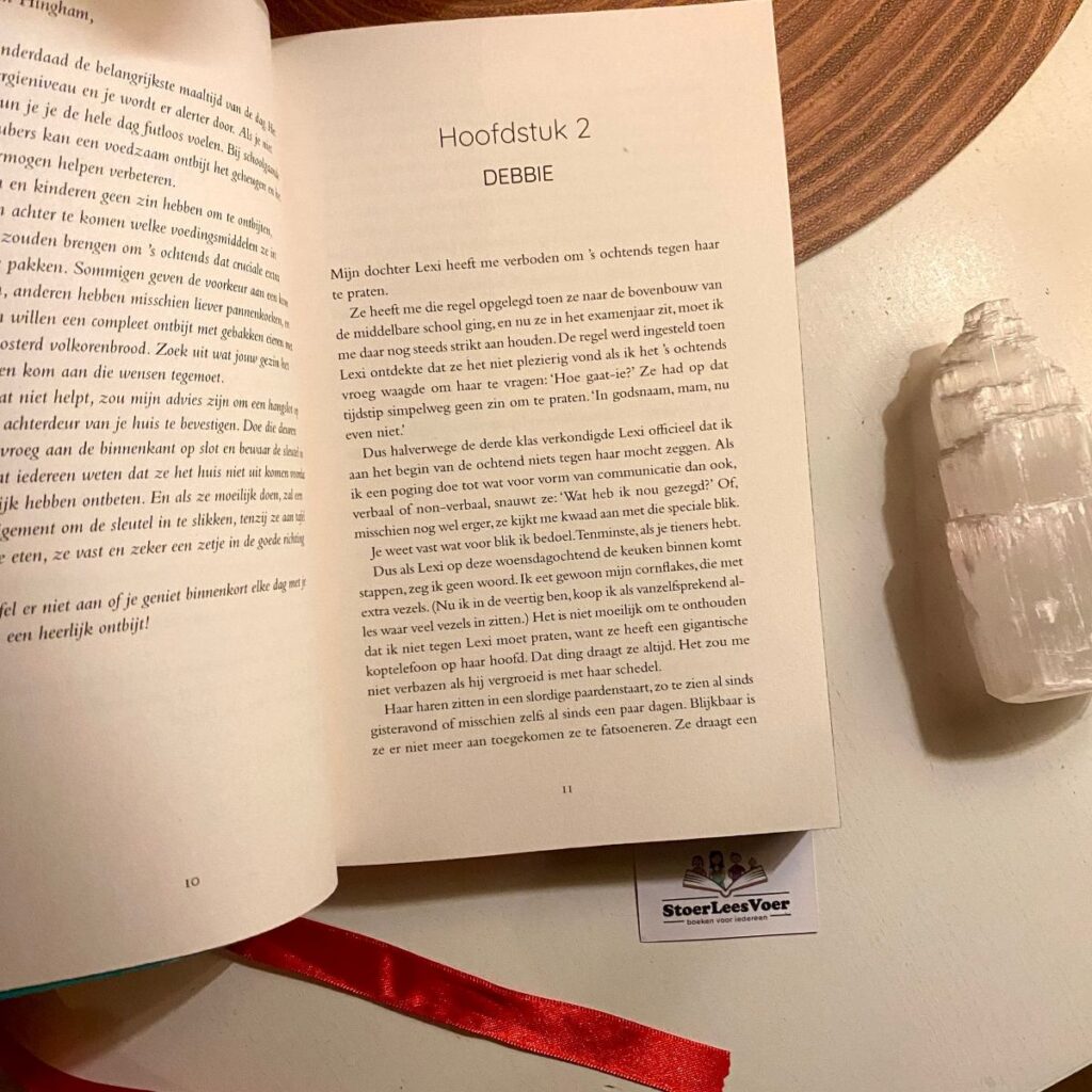 hoofdstuk 3 lieve debbie freida mcfadden thriller