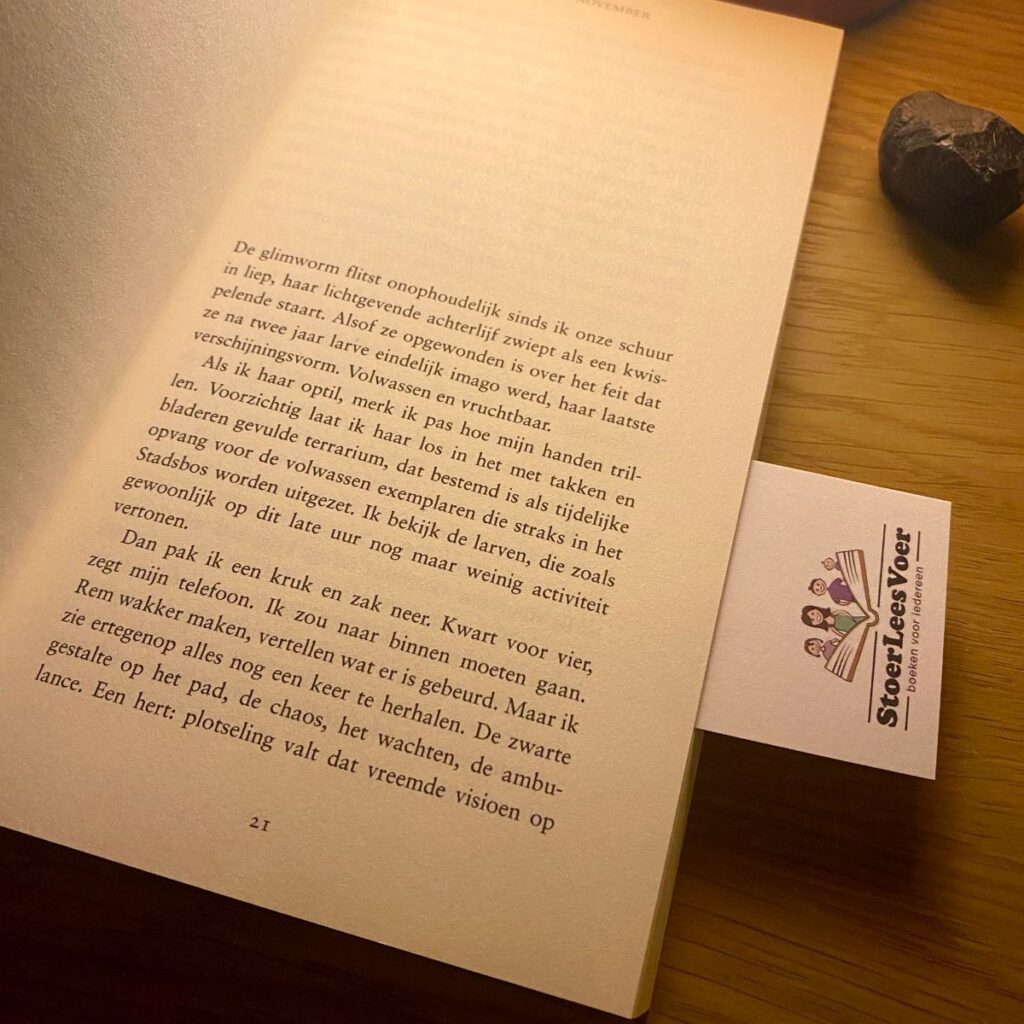 hoofdstuk roman Marjolijn van heemstra