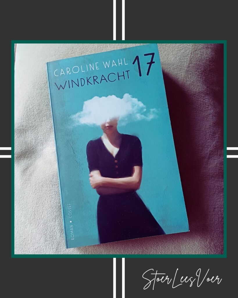 Roman 'Windkracht 17' van auteur Caroline Wahl voorkant cover omslag kaft