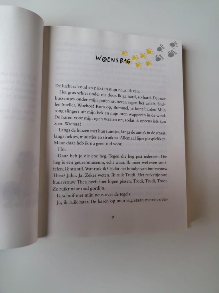 Voorbeeld blz Bommel en ik