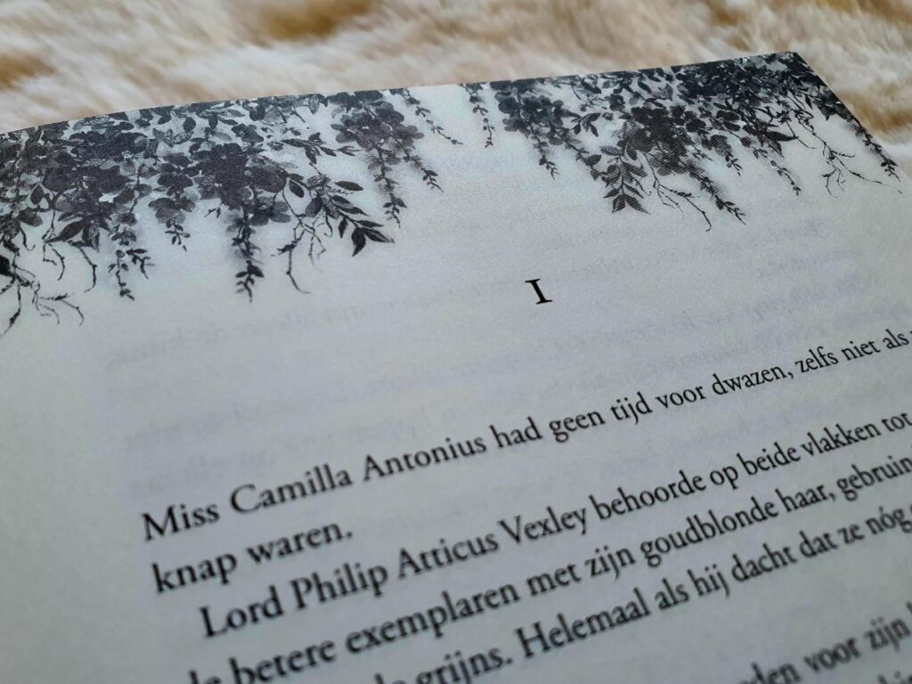 Perspectief van Camilla