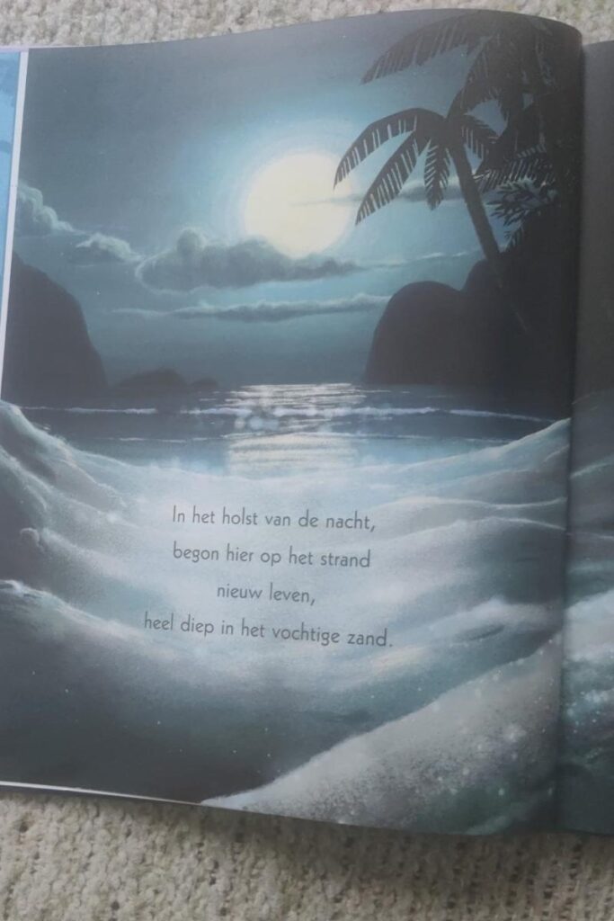 Eerste bladzijde Schiet op, schildpadjes